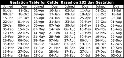 Holstein Gestation Chart