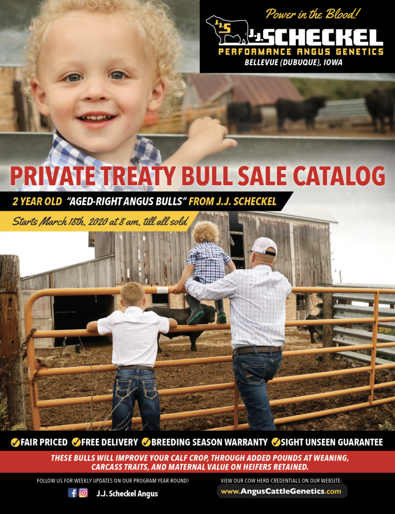 Bull Sale Cover