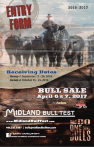 Midland Bull Test Bulls For Sale