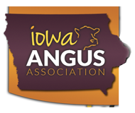 Iowa Angus Association Bull Test
