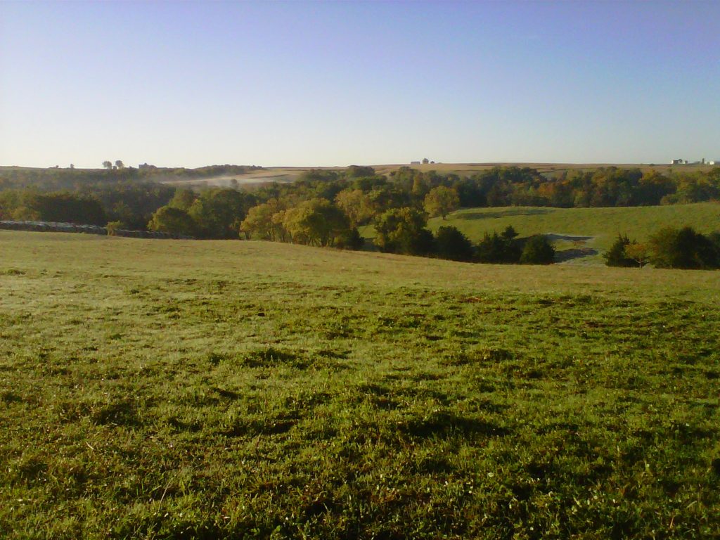 Beautiful rolling pasture