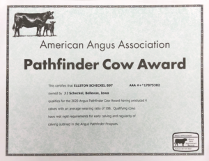 Pathfinder Cow Award